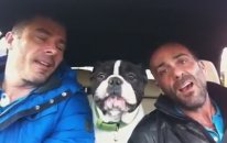 Şarkı Söyleyen Köpek :)