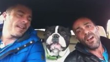 Şarkı Söyleyen Köpek :)