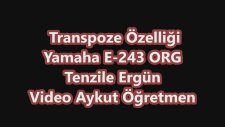 Transpoze Özelliği Yamaha E 243 Org Tenzile Ergün Taşına Bİlir Piyano