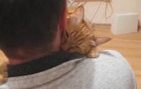 Mutlu Kedi Lili