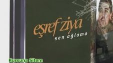 Eşref Ziya Terzi Kurşuna Sitem