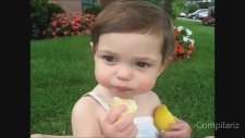 Sevimli Bebeklerin Limonla İmtihanı