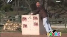 Goril Şakası - Çetin Çiftçioğlu