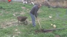 Hayvan Dışkısından Isınma Sorununa Çözüm