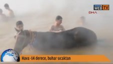 Eksi 14 Derecede At Yıkamak