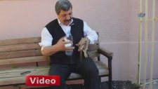 Elini Sokan Yılana Gözü Gibi Bakan Adam