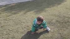 Tek Eliyle Emekleyen Bebek