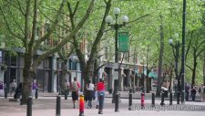 Seattle, ABD - Görülmesi Gereken Yerler