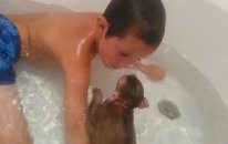 Yavru Maymunuyla Banyo Yapan Çocuk