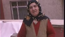 Kimseyi Korkutamayan Kanatlı Kedi