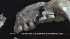 İki Milyon Yıllık İnsan İskeleti