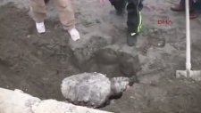 Caretta Caretta'ya Parke Taşı Bağlayıp Boğmak