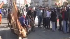 Kurbanın Kesilişine Hem Ağlamak Hem de Kameraya Çekmek