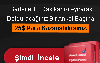 Anket Doldurarak Para Kazanma Sistemi