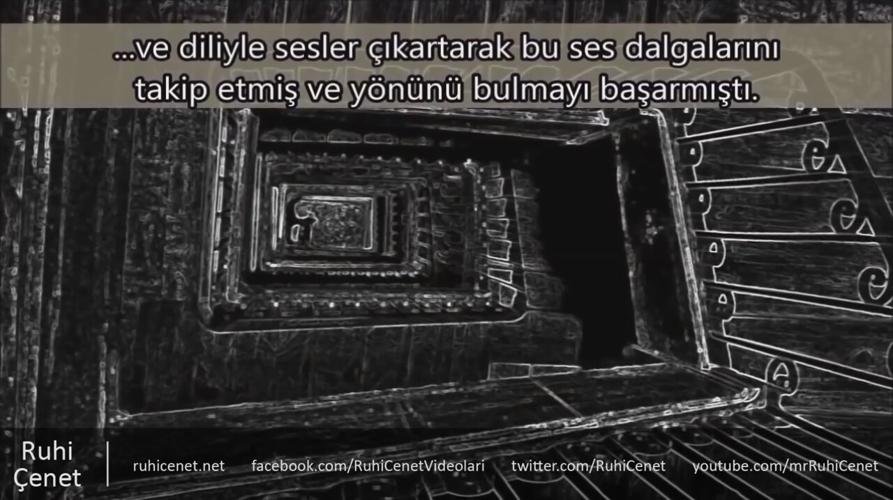Gerçek güçlere sahip insanlar, özel güçlere sahip insanlar Gerçek güçlere sahip insanlar, özel güçlere sahip insanlar