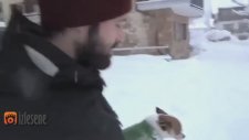 Karı Gören Köpeğin Afallaması