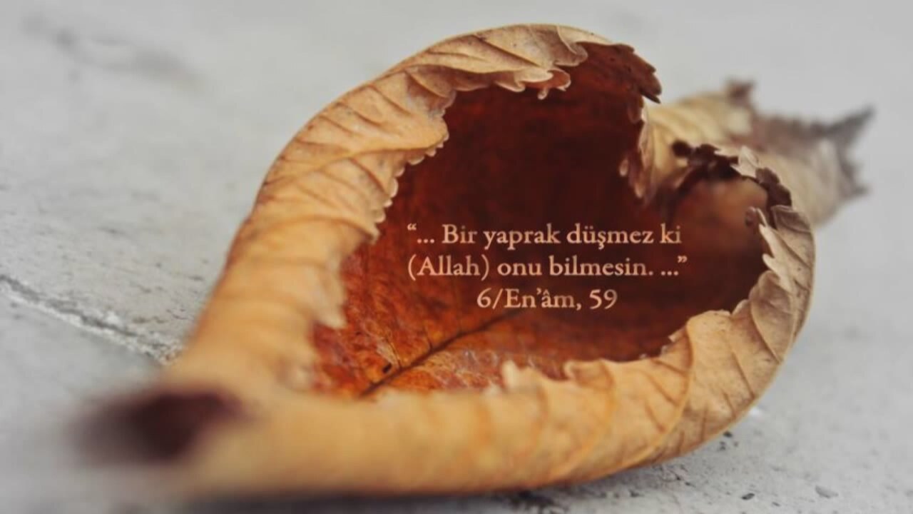 islami-videolar-dini-videolar-kuran-i-kerim-ayetler-oku-allah-bize-yeter_7989257-10570_1280x720.jpg