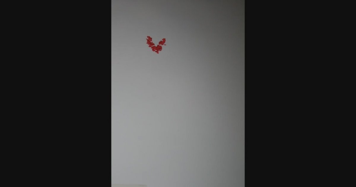 Sevgiliye Doğum Günü Hediyesi Stop Motion Video