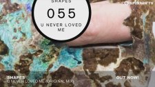 Shapes - U Never Loved Me (Original Mix)