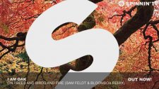 I Am Oak - On Trees And Birds And Fire (Sam Feldt & Bloombox Remix)