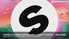 Sander van Doorn, Martin Garrix, DVBBS ft. Aleesia - Gold Skies (Ferreck Dawn & Redondo Remix)