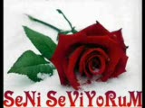 Cideli