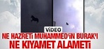Mekke'de Görülen Uçan At