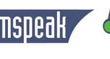 Teamspeak 3 Yetki Ayarlama
