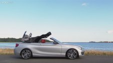 2015 BMW 2 Series Convertible