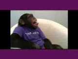 Yahoo California Merkezi