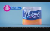 Selpak Paper Towel Cake 20sn English