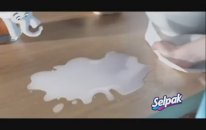 Selpak Paper Towel Cake 30sn Arabic