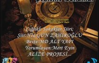 Mert Eyin Ve Nilgün Zahiroğlu - Çığlıklı Sokaklar (Alize)