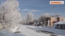 Ağaçlar Buz Tuttu