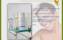 Aloe Ever Shield Deo Stick - Koltuk Altı Deodorantı