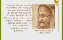 Aloe Vera nın Hikayesi