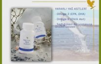 Arctic Sea Super Omega 3
