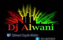 Christmas Reggae Mix Vol. 01 By Dj Alwani 2014