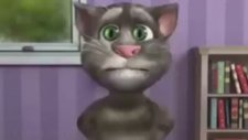 Konuşan Kedi