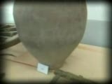 Durak Köyü Yibo Müze Ve Sergi Salonu