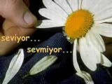 Papatya Falı Ayrılık Diyor.. (Ata66kan)