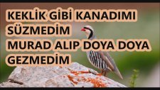 KEKLİK GİBİ Si Minör Uşşak Karaoke Md Altyapısı Şarkı Sözü