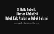 Hafta Hafta Gebelik 8. Hafta - Hamilelik Rehberi