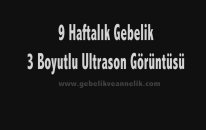 Hafta Hafta Gebelik 9. Hafta - Hamilelik Rehberi