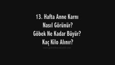 Hamilelikte 13. Hafta - Anne Karnında Bebek Gelişimi