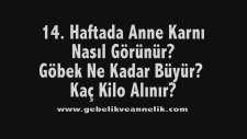 Hamilelikte 14. Hafta - Anne Karnında Bebek Gelişimi