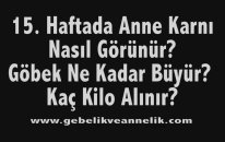 Hamilelikte 15. Hafta - Anne Karnında Bebek Gelişimi