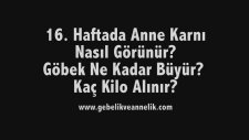 Hamilelikte 16. Hafta - Anne Karnında Bebek Gelişimi