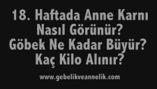 Hamilelikte 18. Hafta - Anne Karnında Bebek Gelişimi