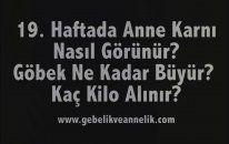 Hamilelikte 19. Hafta - Anne Karnında Bebek Gelişimi